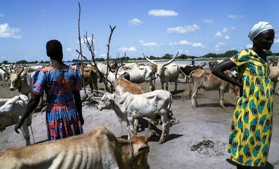 Soudan du Sud : le projet de loi sur la sécurité renforcera la répression, alertent des enquêteurs de l’ONU